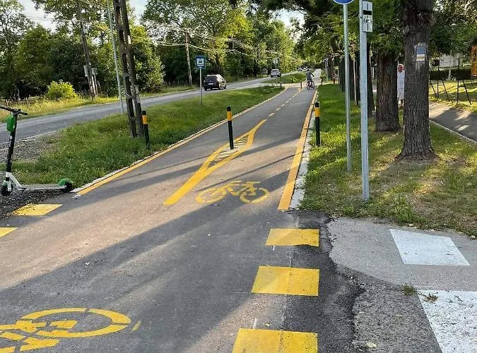 Vizparti Luxus *